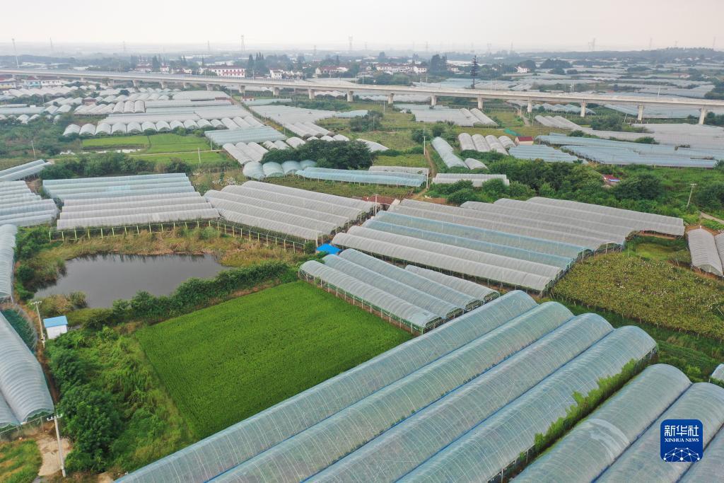 奥门新匍京娱乐场
